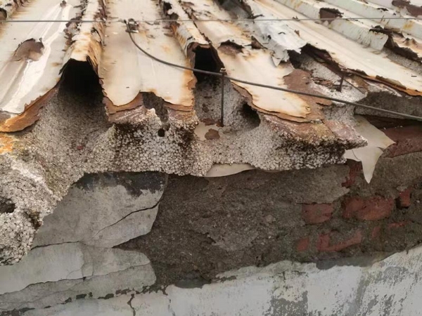 微信图片_2022021010444221