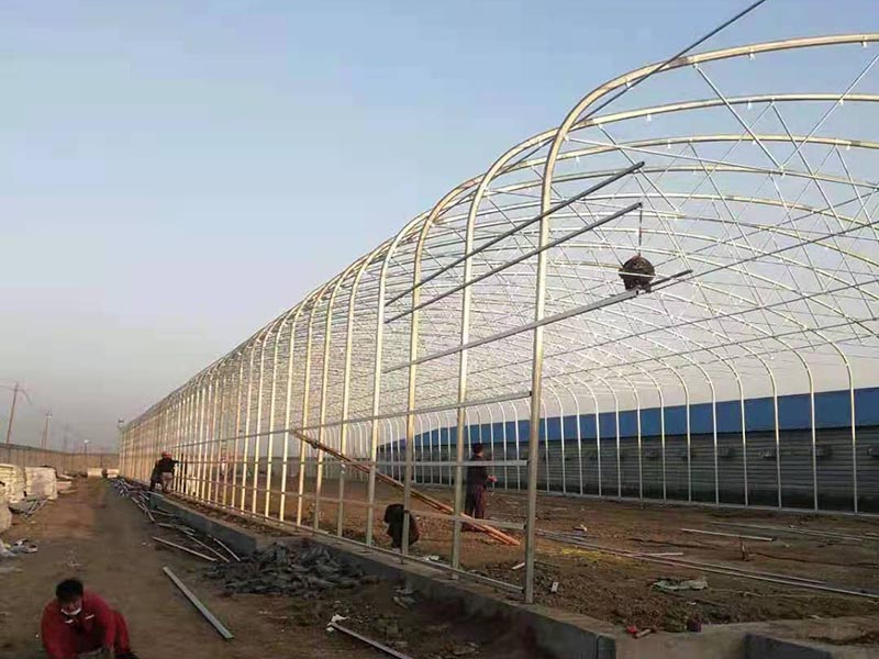 养殖棚建设