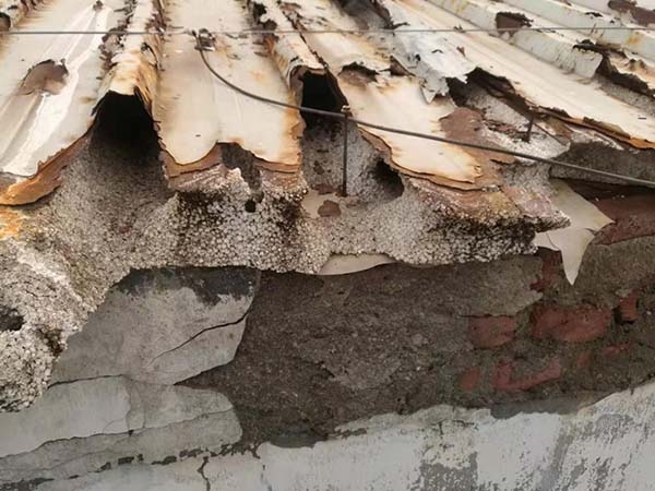 6养殖棚顺水沿破损维修前